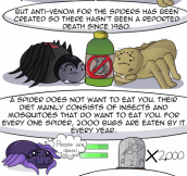 THE TRUTH ABOUT SPIDERS