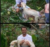 Man Saves Wounded Dog