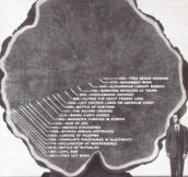 Life Of a Tree From 550 To 1891