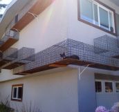Cat Owner Built an Outdoor Catwalk Around His House