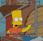 This is why I love Bart Simpson…