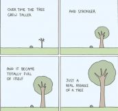 So The Tree Grew And Grew…
