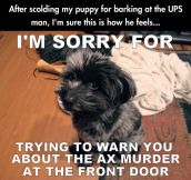 Misunderstood Puppy