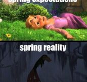 Expectations about Spring…