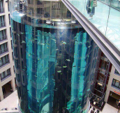 Aquarium elevator. Berlin Germany