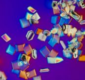 10 Mundane Things That Look Awesome Under a Microscope