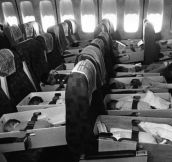 Babies are strapped into airplane seats enroute to LAX during “Operation Babylift” with airlifted orphans from Vietnam to the US. April 12, 1975.