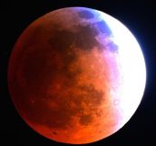 Blood Moon from Mt. Lemmon SkyCenter in Arizona.