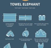 How to fold towels into animals