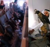 This guy buys a whole row for his falcons to fly in 1st class