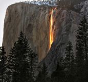 Yosemite falls turn gold at sunset.