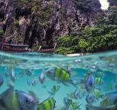 Underwater Life of Poda Island, Thailand
