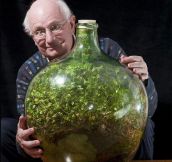 80-Year-Old Man Hasn’t Watered This Sealed Bottle Garden Since 1972 And It’s Still Alive