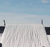 The definition of Awesome [GIF]