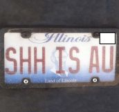 Smart Licence Plate