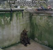 He Can’t Bear The Injustice