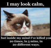 You May Think I’m Calm