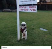 Exceptional Real Estate Agent