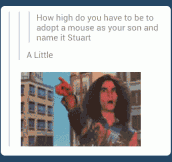 Adopting a mouse…