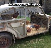 Chicks Love a Man With a Nice Car