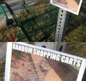 Where Random Shopping Carts Come To Die