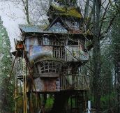 Abandoned Treehouse