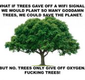 If Trees Had Wi-Fi