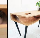 Desk for Cat Owners (10 Pics)