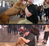 Dogs Never Forget The People They Love