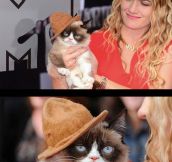 Grumpy Cat Looking Fancy On The MTV Awards