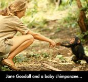 Friendly Chimp