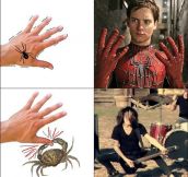 Spider Or Crab
