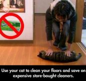 Tired Of Wasting All Your Money In Cleaning Products?