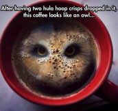 Owl In Coffee