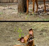 A Stick Can Make A Big Difference