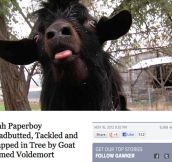 Goat Who Shall Not Be Named