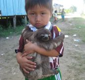 A Child And His Sloth Hanging Out On The Amazon