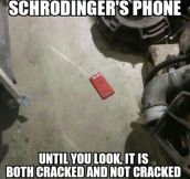 Schrödinger’s Phone