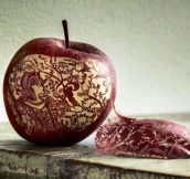 Apple That Was Carved With Incredible Detail