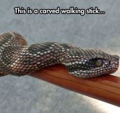 Amazingly Realistic Walking Stick