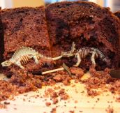 Clever Paleontology Cake
