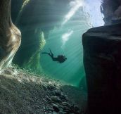 Cool Underwater Perspective