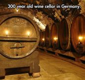 Wuerzberg’s Wine Cellar