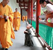 Adorable Little Monk