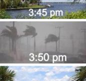 Florida In The Summer