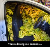 The Banana Car
