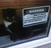 The Neighbors Needed To Be Warned