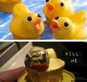 Duckcakes Fail