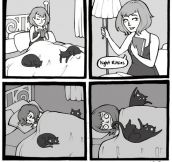 Cat Owners Know About This