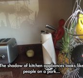 Kitchen Appliances’ Intriguing Shadow